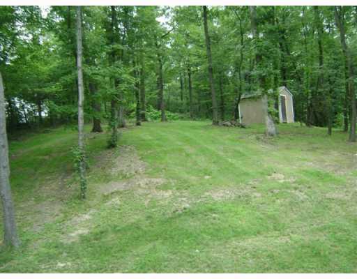 239 Smith Road Cabot, PA 16023 - Photo 13 of 15 Yard/Garden.