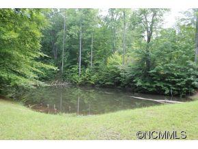 1394 Skyuka Road Columbus, NC 28722 - Photo 2 of 24 Gallery Image 2