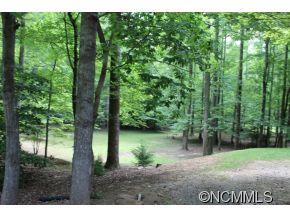 1394 Skyuka Road Columbus, NC 28722 - Photo 6 of 24 Gallery Image 6