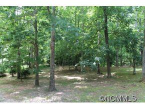 1394 Skyuka Road Columbus, NC 28722 - Photo 8 of 24 Gallery Image 8