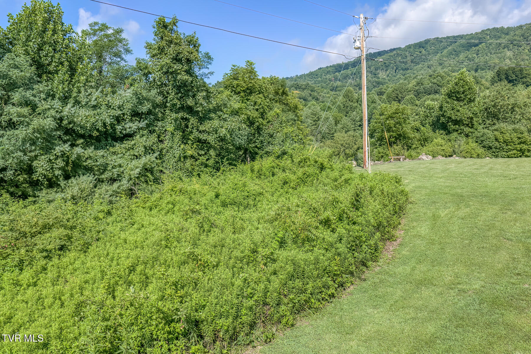 Tbd East Fire Tower Road Mountain City, TN 37683 - Photo 11 of 23 TBD Fire Tower Rd-5