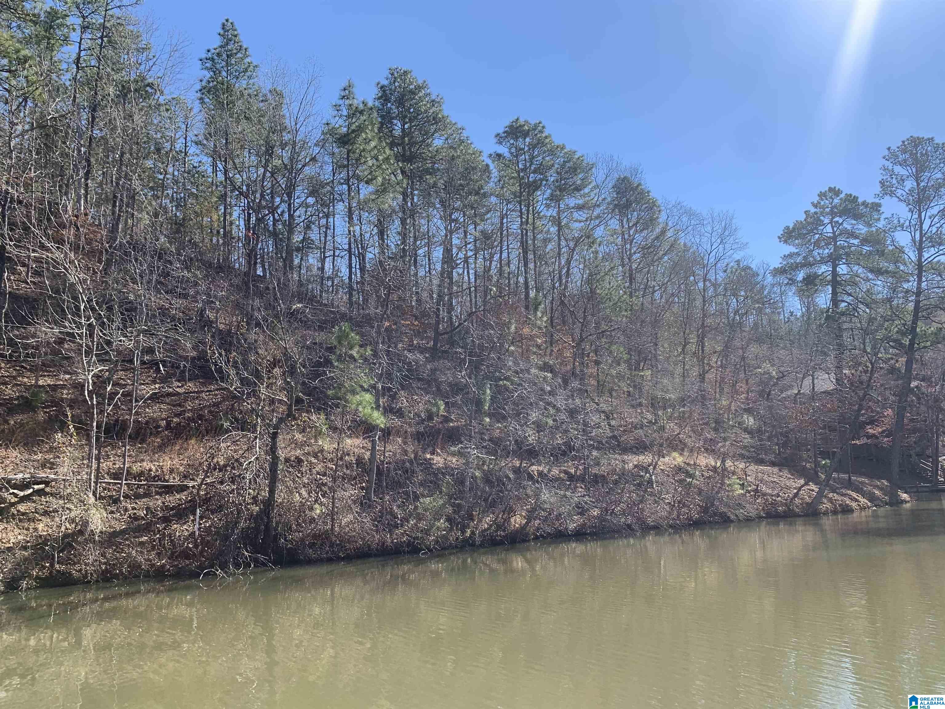 14 Highland Road, Unit LOT 14 AND 15 Goodwater, AL 35072 - Photo 5 of 7