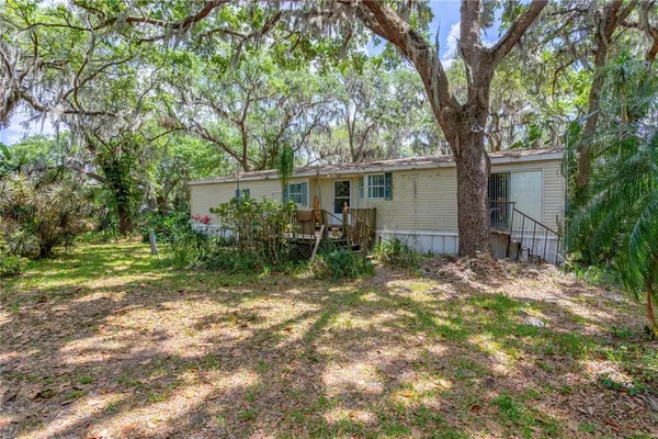 a backyard of a house with plants and large tree