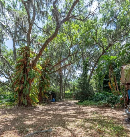 a view of a field with trees in front of it