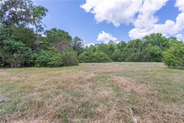 a view of a field with trees in background
