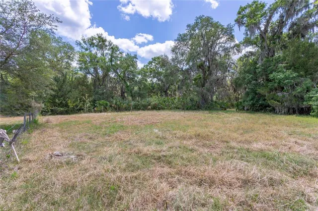 a view of a field with trees in the background
