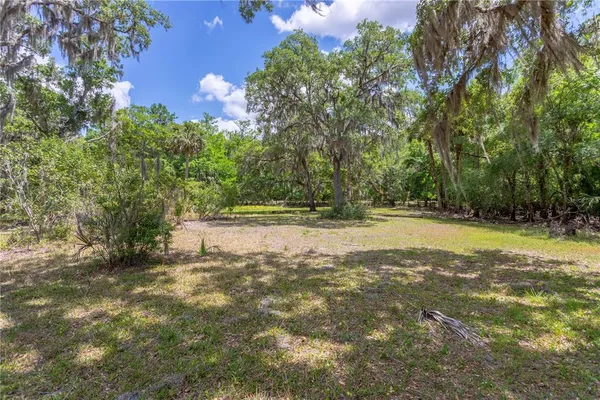 a view of outdoor space with trees all around