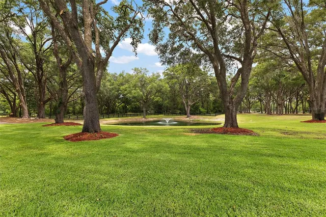 $1,950,000 | 11416 Highway 45, High Springs, FL 32643