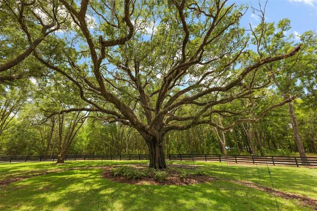 $1,950,000 | 11416 Highway 45, High Springs, FL 32643