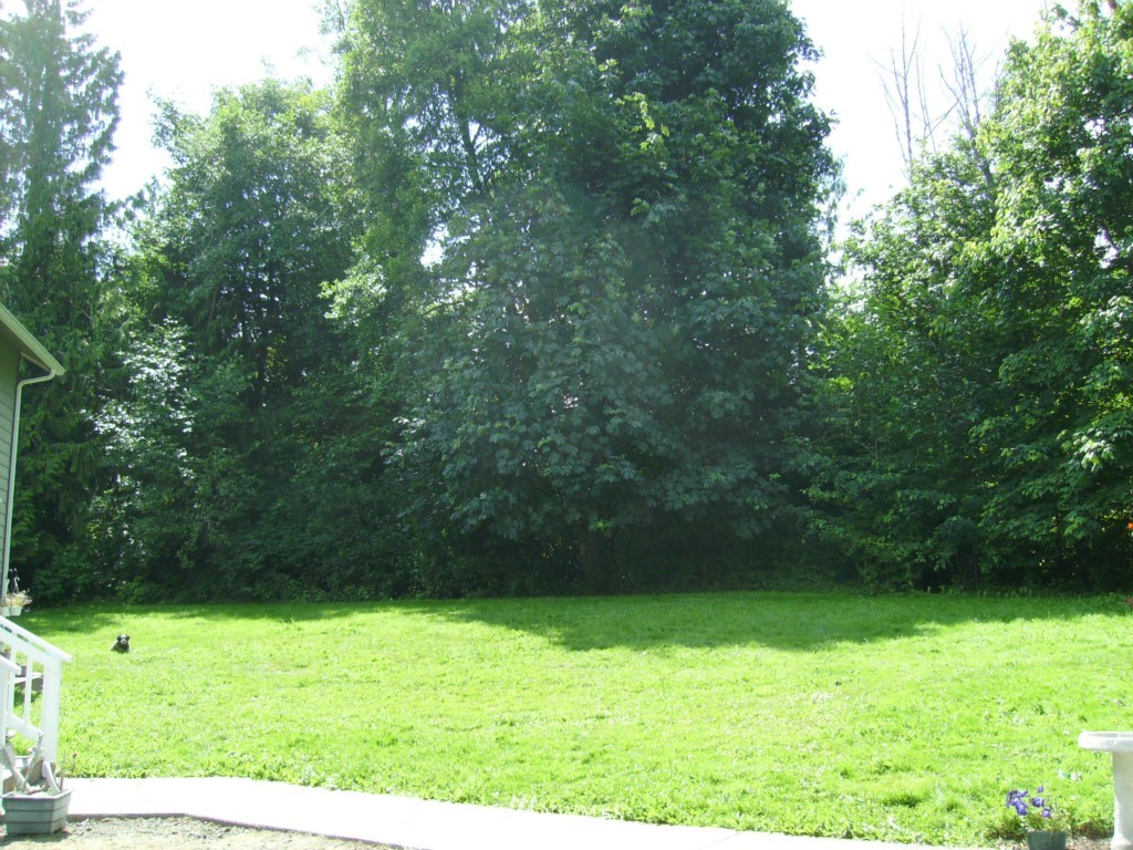 182 Rife Road Port Angeles, WA 98363 - Photo 12 of 12 Gallery Image 12