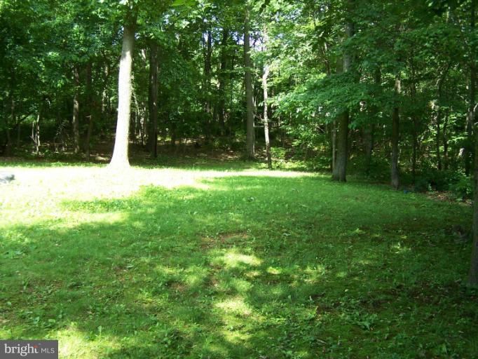 4175 Wine Road Westminster, MD 21158 - Photo 3 of 28 Back Yard