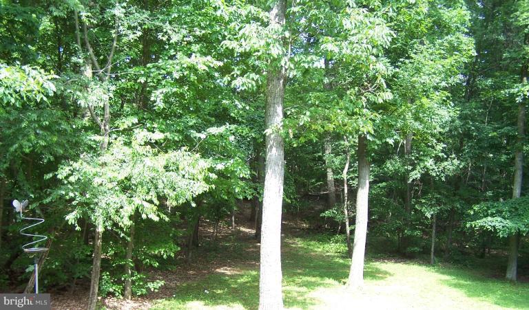 4175 Wine Road Westminster, MD 21158 - Photo 7 of 28 View From Deck