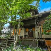 front view of a house with a tree