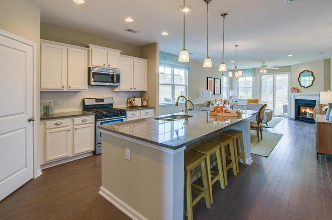 324 Knawl Road Moncks Corner, SC 29461 - Photo 6 of 24 05