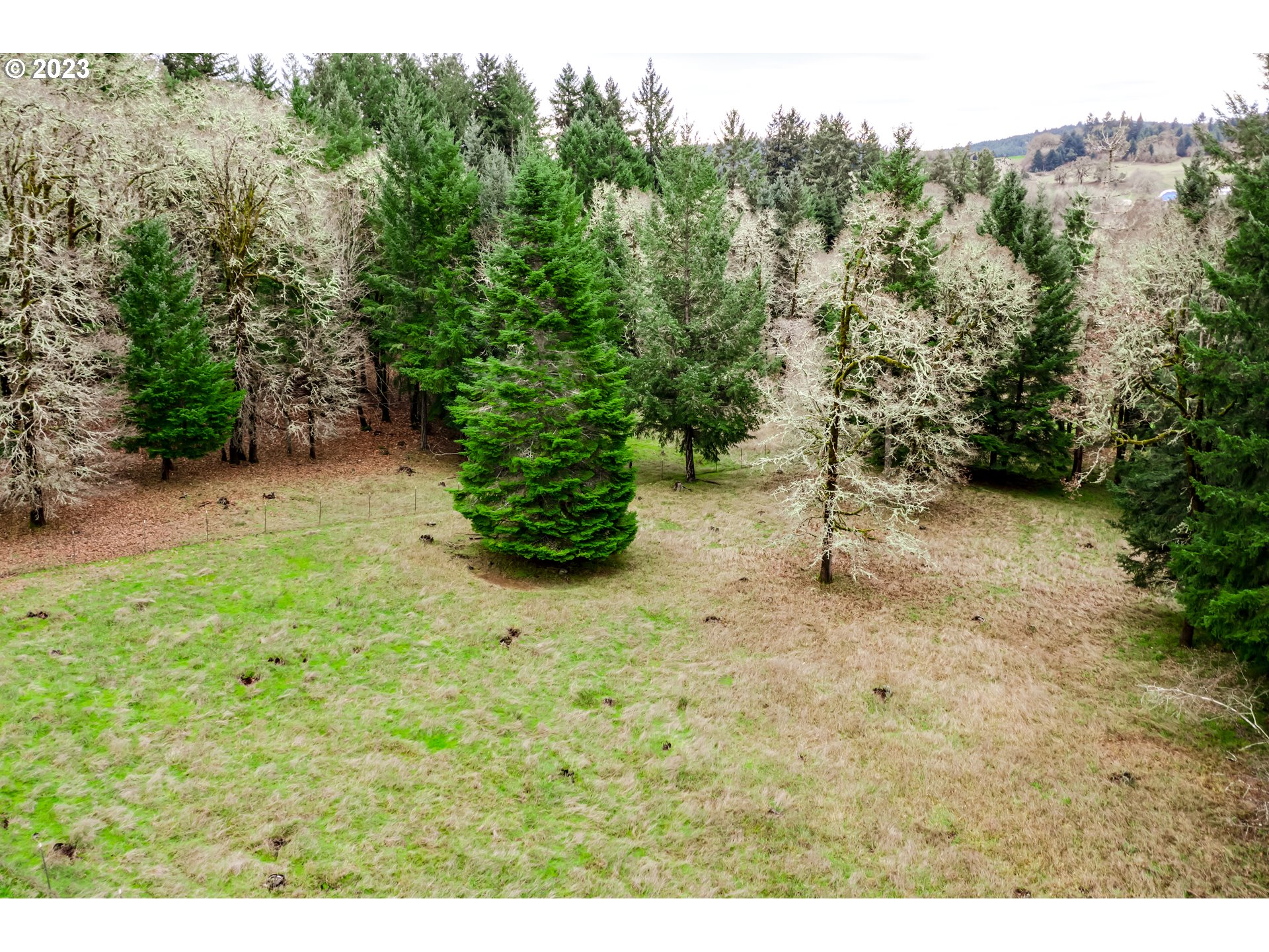 Gent Road, Unit 1 Junction City, OR 97448 - Photo 1 of 14 Gallery Image 1