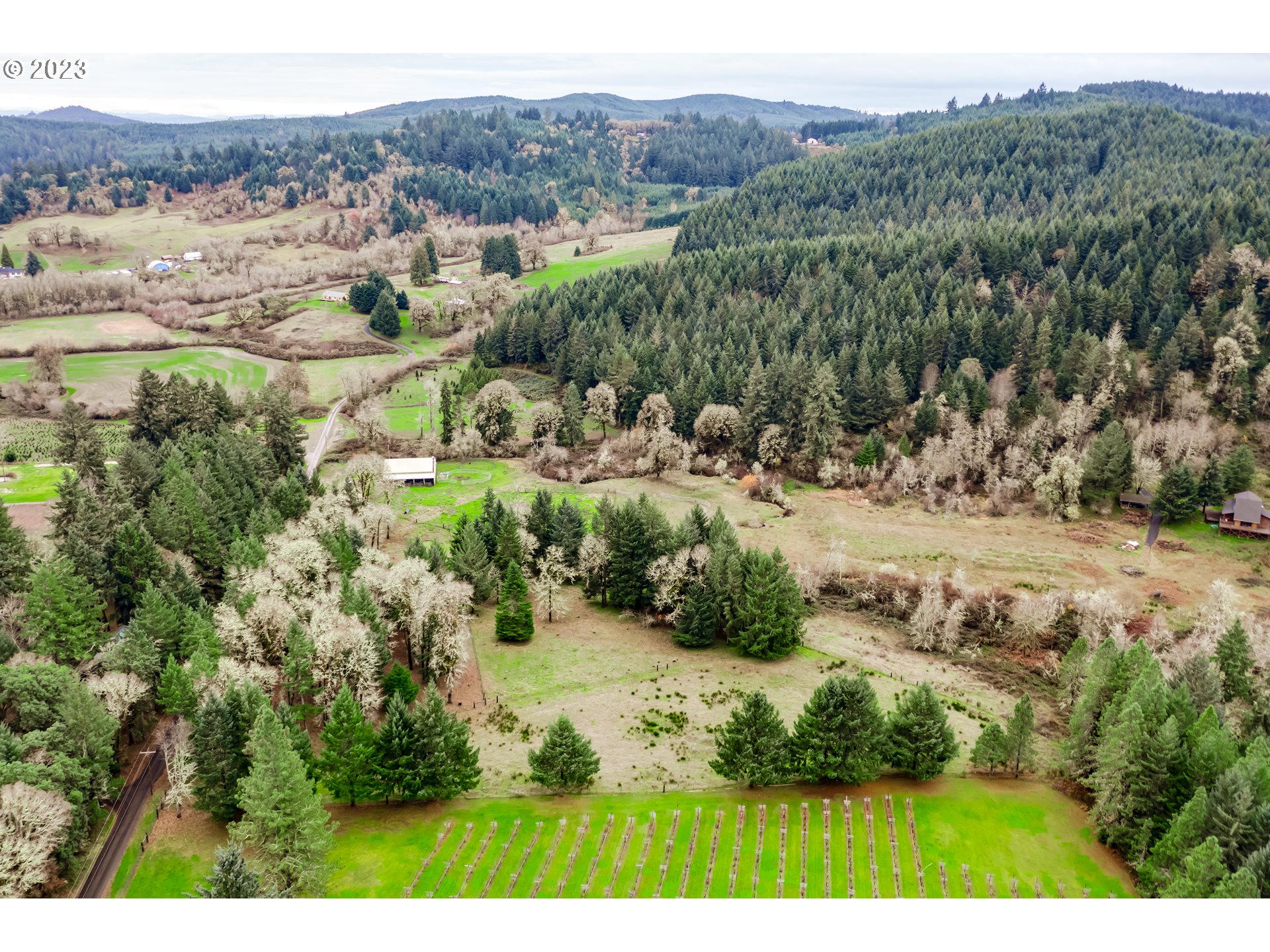 Gent Road, Unit 1 Junction City, OR 97448 - Photo 8 of 14 Gallery Image 8