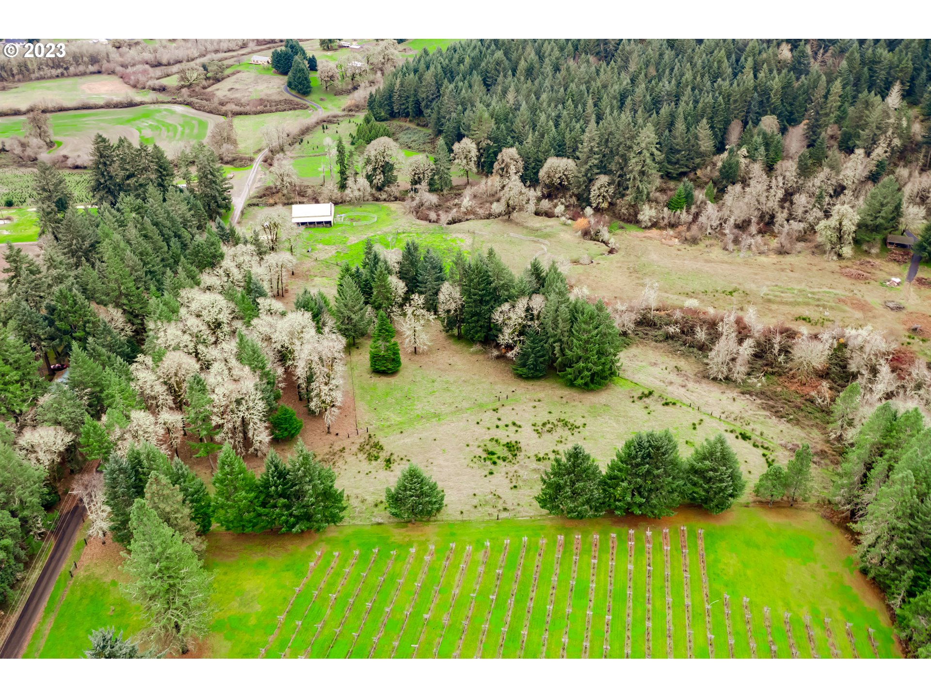 Gent Road, Unit 1 Junction City, OR 97448 - Photo 9 of 14 Gallery Image 9