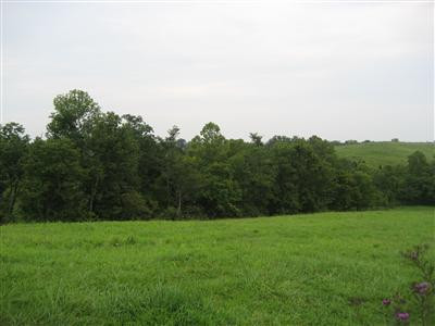 1234 Alton Station Road Lawrenceburg, KY 40342 - Photo 5 of 11 Photo 5