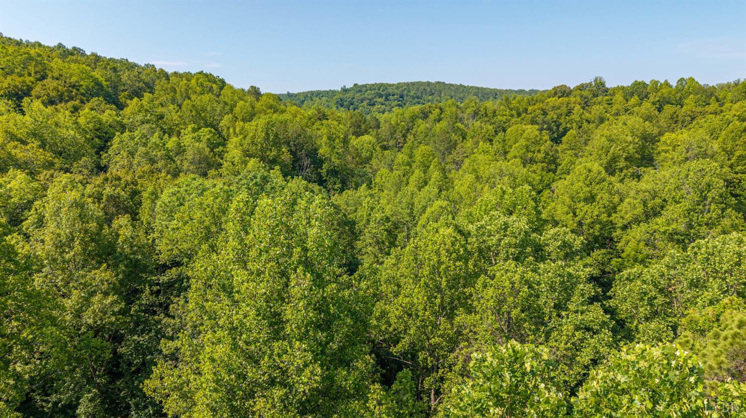 0 Mt Athos Road Lynchburg, VA 24504 - Photo 4 of 42