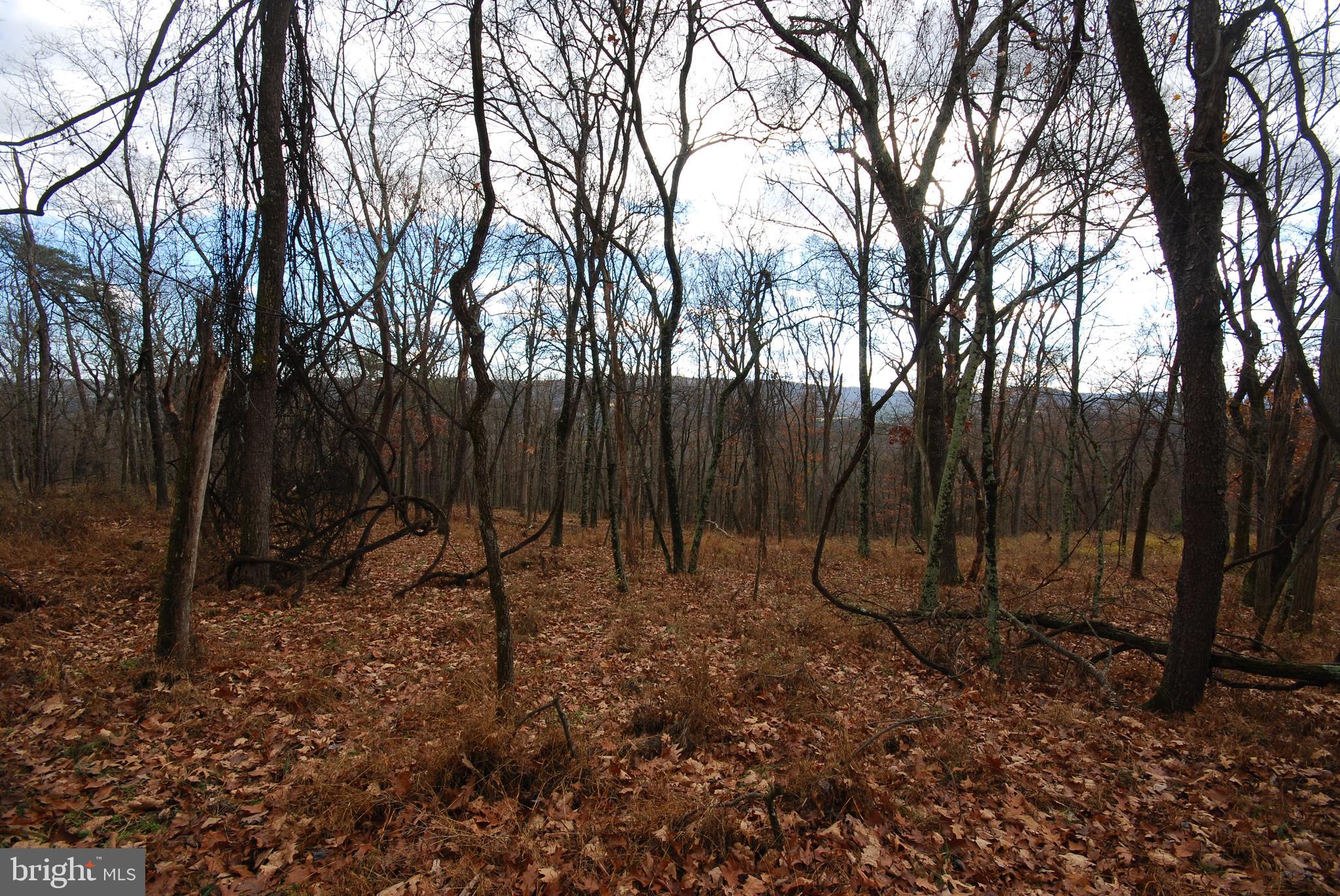 Lot 70-71 Mill Mountain Road Romney, WV 26757 - Photo 30 of 52