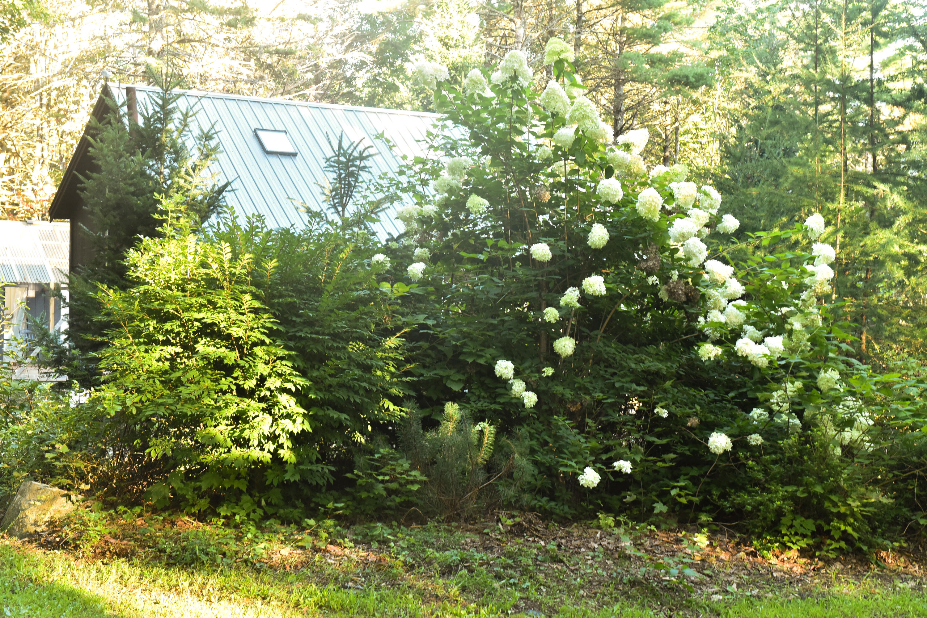 477 North Penobscot Road Penobscot, ME 04476 - Photo 91 of 101 DSC_1576