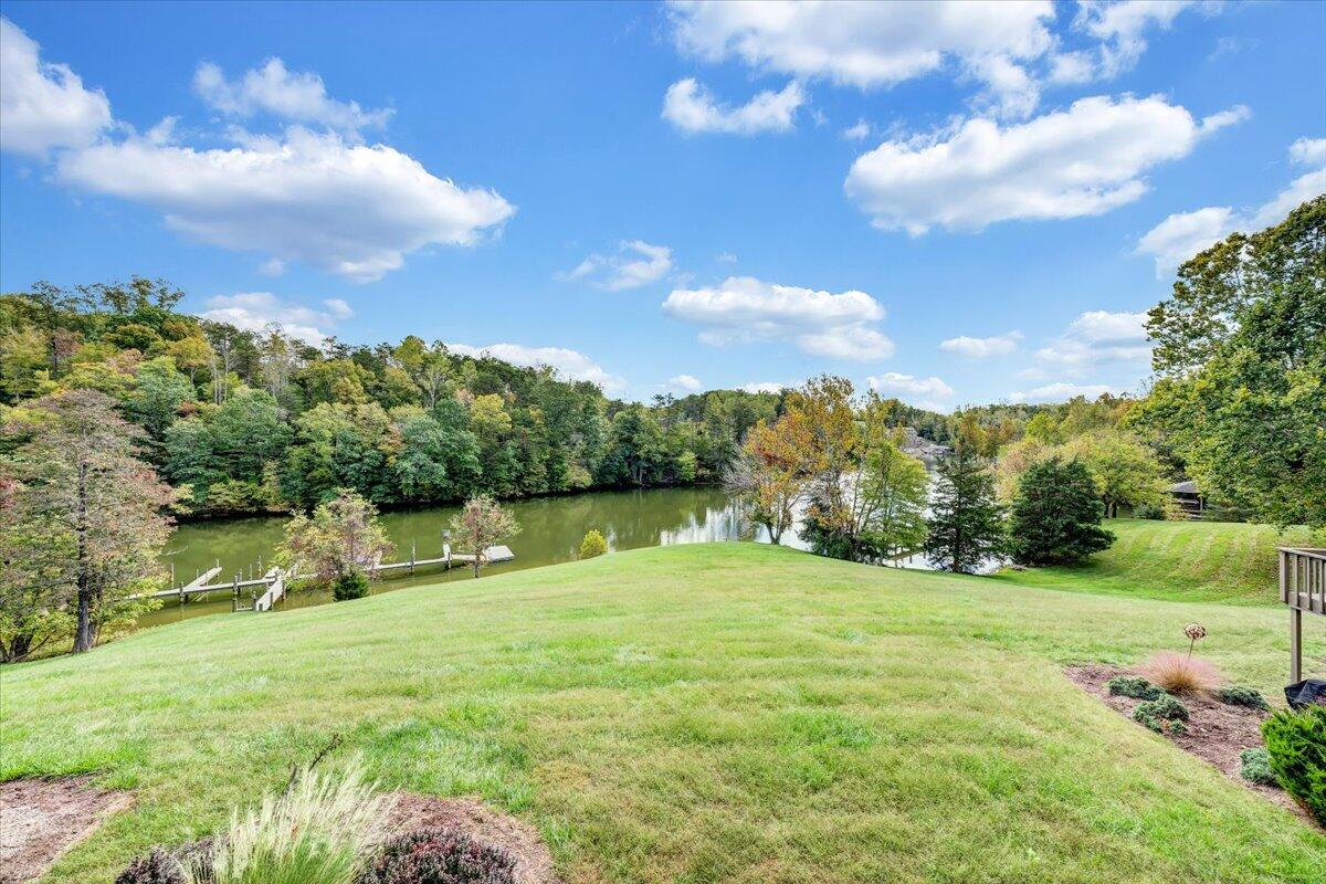 301 Harbor Ridge Drive Goodview, VA 24095 - Photo 20 of 56 a backyard of a house with lots of green space