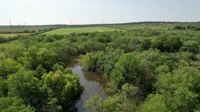 a view of a forest with a street