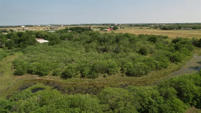a view of a green field with lots of trees