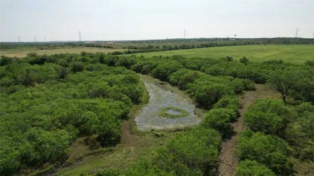 a view of a lush green forest with lots of trees