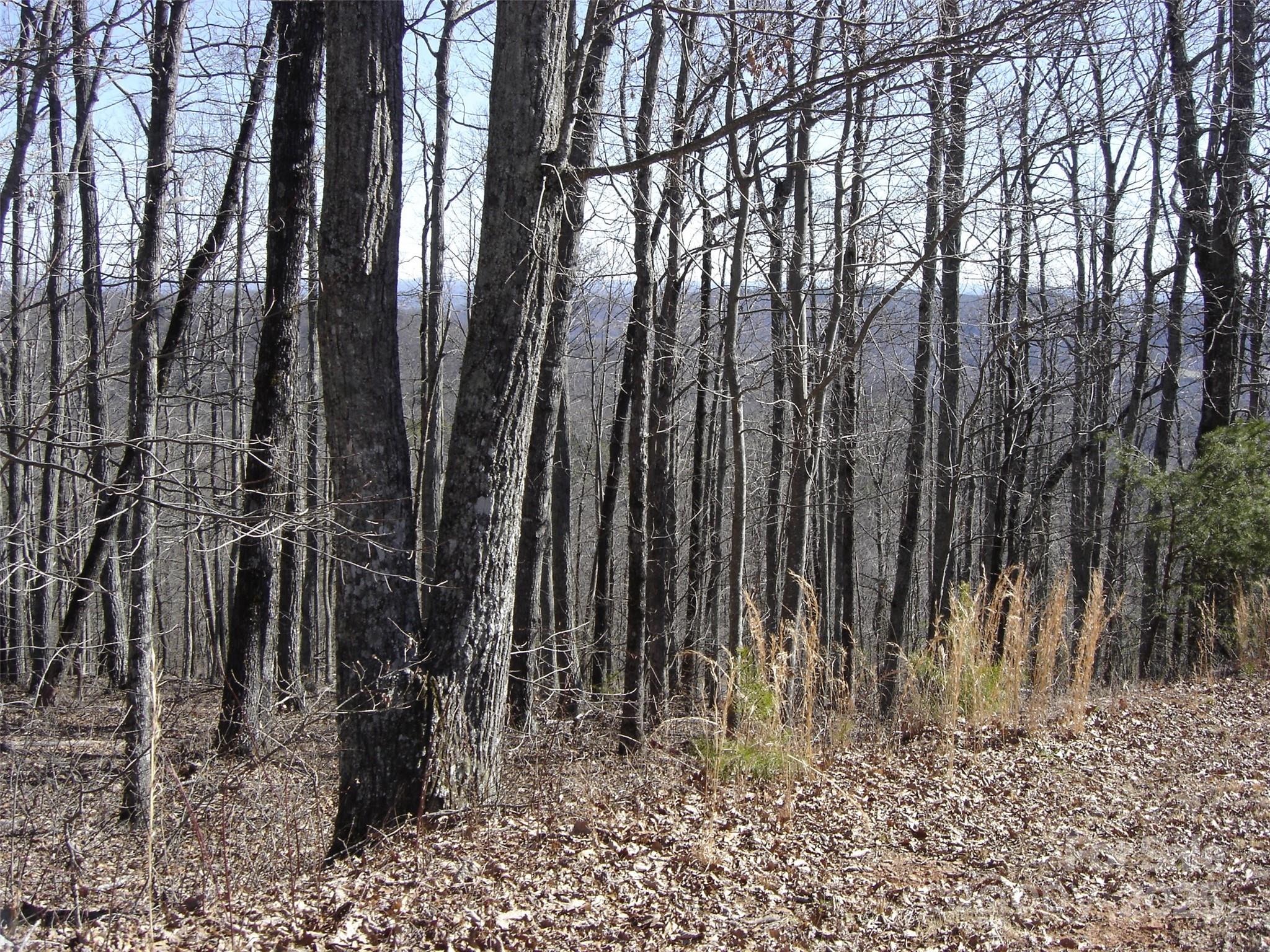 55 Arbra Mountain Road Bostic, NC 28018 - Photo 26 of 35 a view of wooden fence with a trees