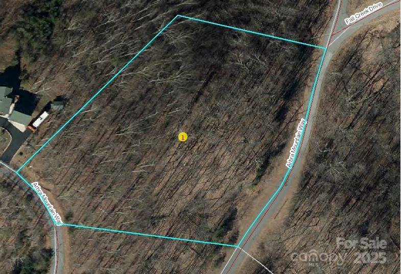 55 Arbra Mountain Road Bostic, NC 28018 - Photo 3 of 35