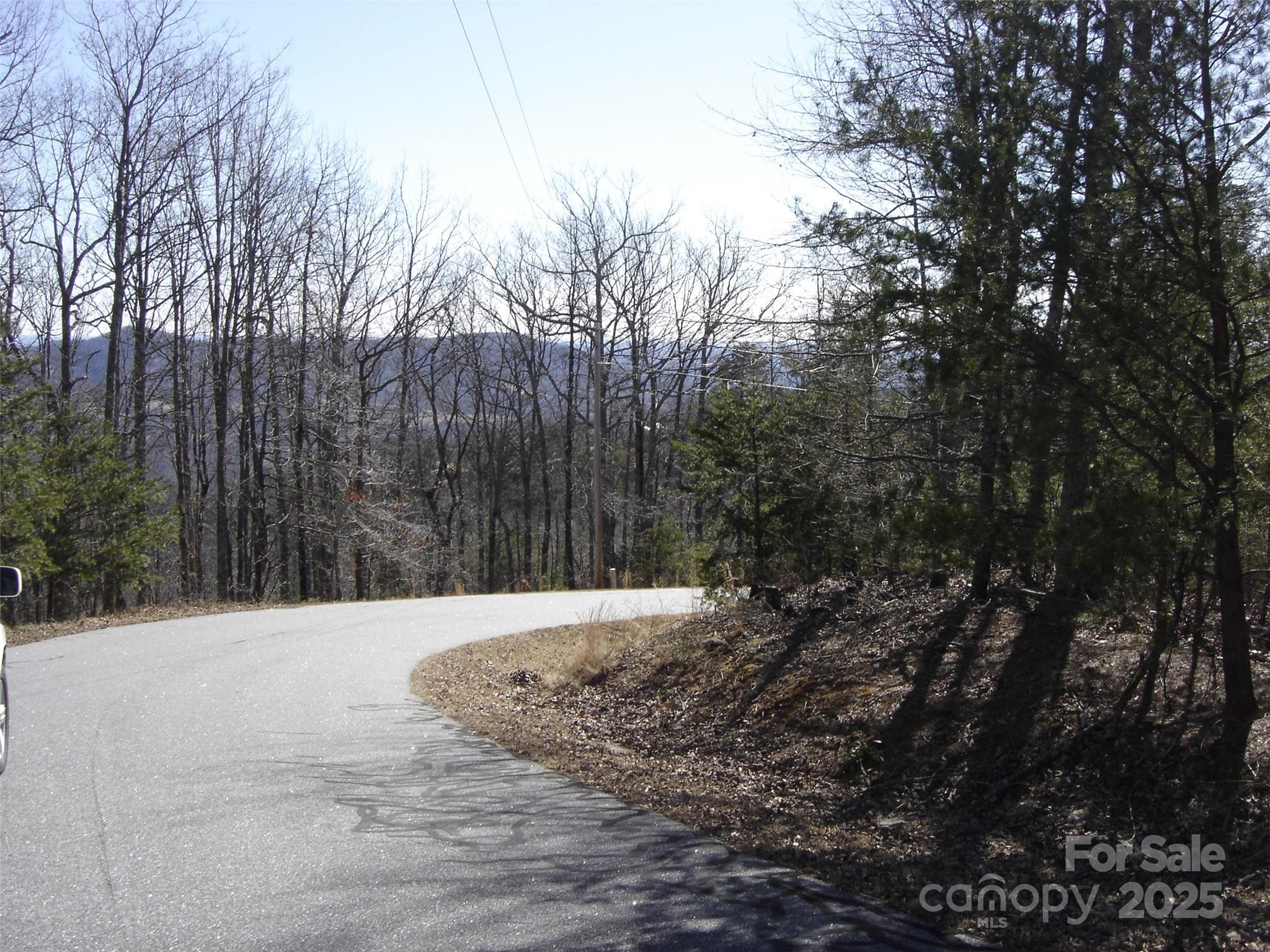 55 Arbra Mountain Road Bostic, NC 28018 - Photo 31 of 35 a view of snow on the side of a road