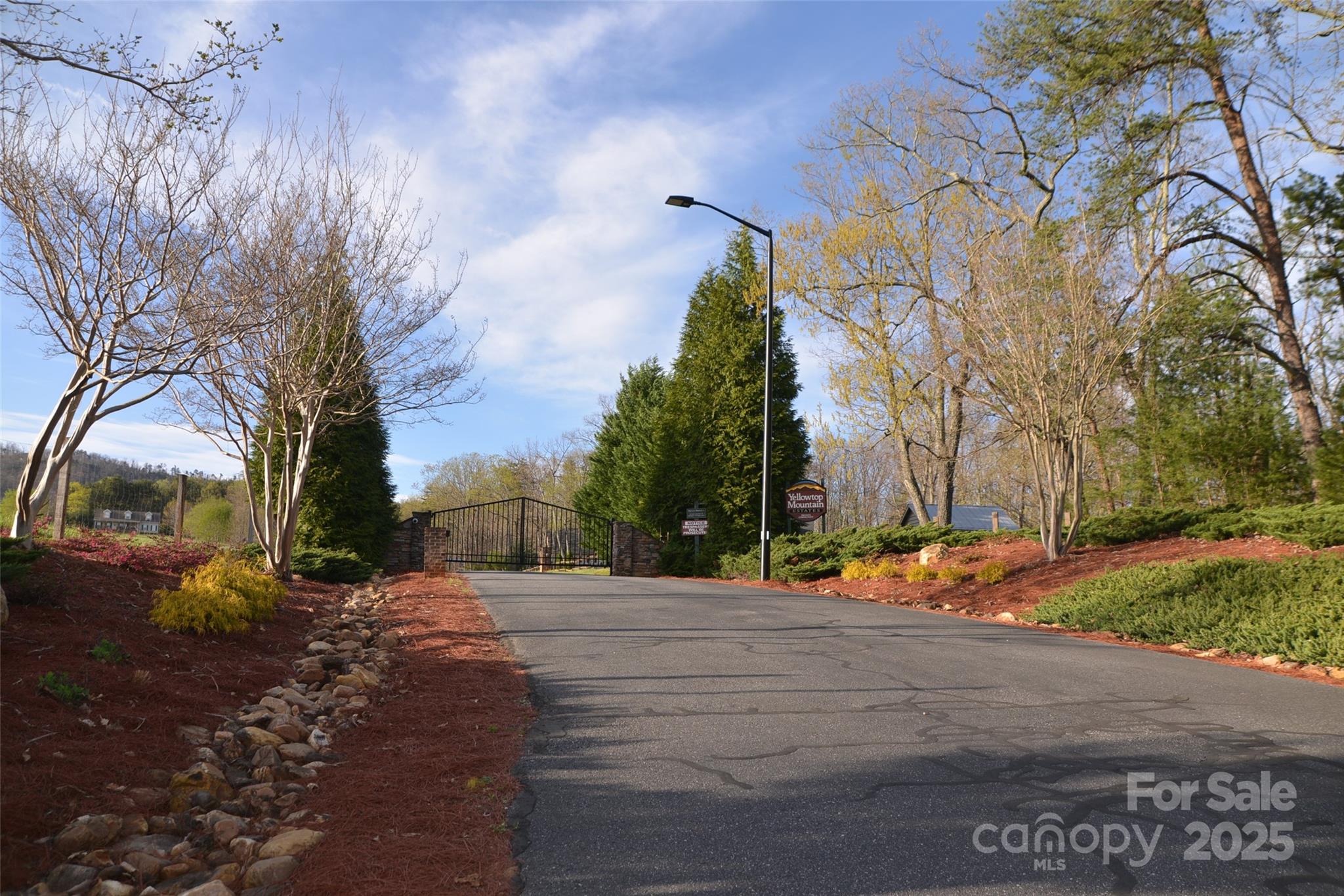 55 Arbra Mountain Road Bostic, NC 28018 - Photo 5 of 35 a view of road with large trees