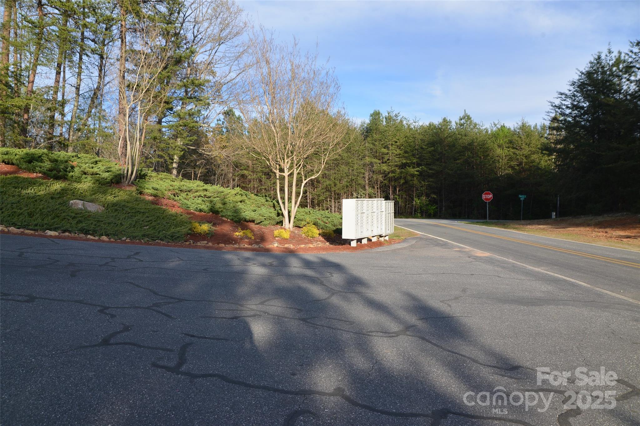 55 Arbra Mountain Road Bostic, NC 28018 - Photo 6 of 35 a night view of street view