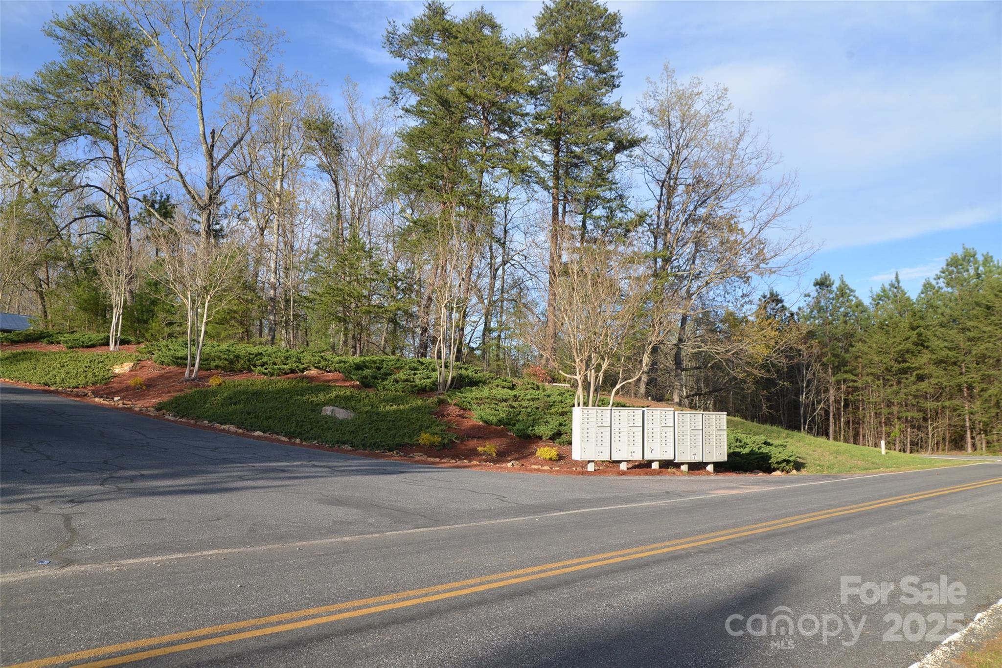 55 Arbra Mountain Road Bostic, NC 28018 - Photo 7 of 35 a view of a road with a houses