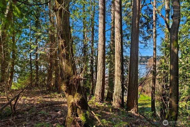 a view of a house with a tree