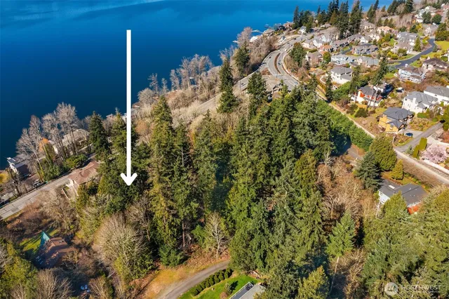 a view of lake view with large tree