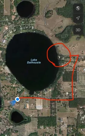 a view of a park with tree s