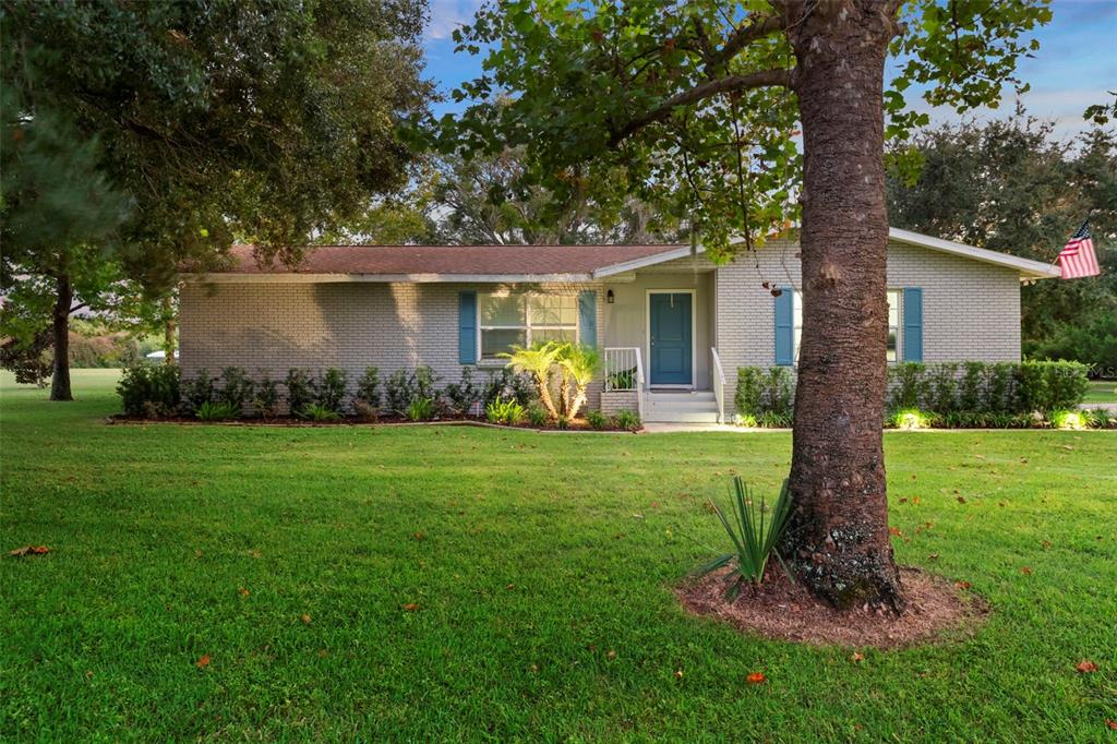 20018 Bill Collins Road Eustis, FL 32736 - Photo 64 of 69