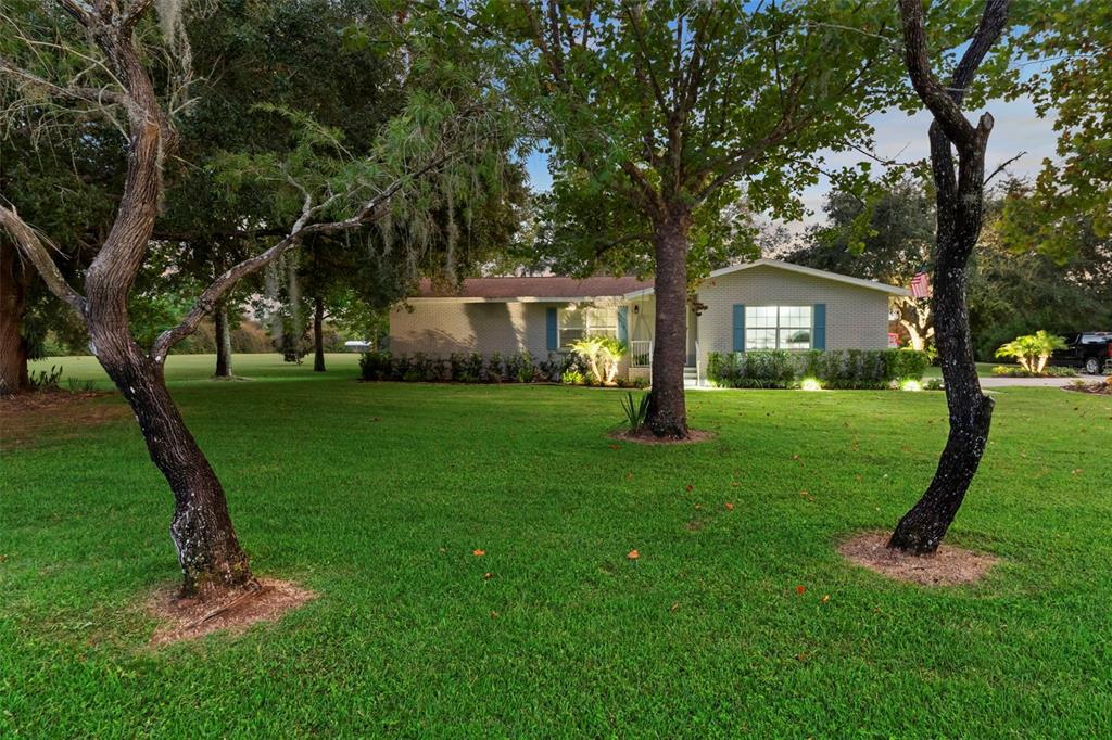 20018 Bill Collins Road Eustis, FL 32736 - Photo 67 of 69