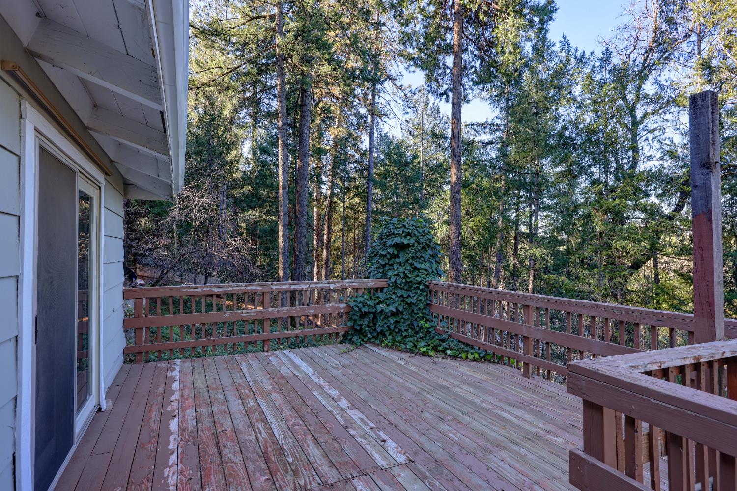 280 Alpine Drive Colfax, CA 95713 - Photo 17 of 44