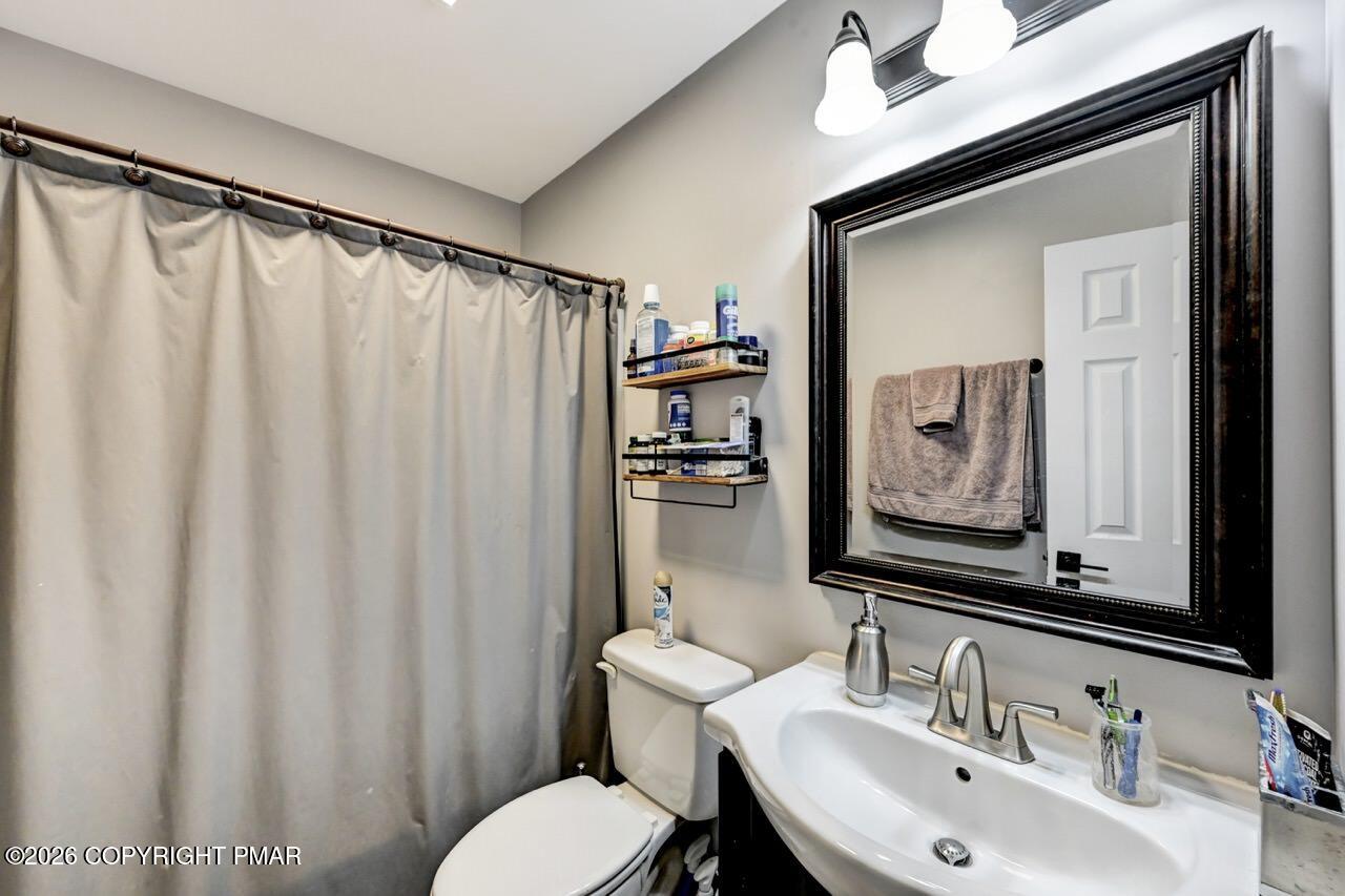 256 Devils Hole Road Cresco, PA 18326 - Photo 31 of 56 a bathroom with a sink mirror and a toilet