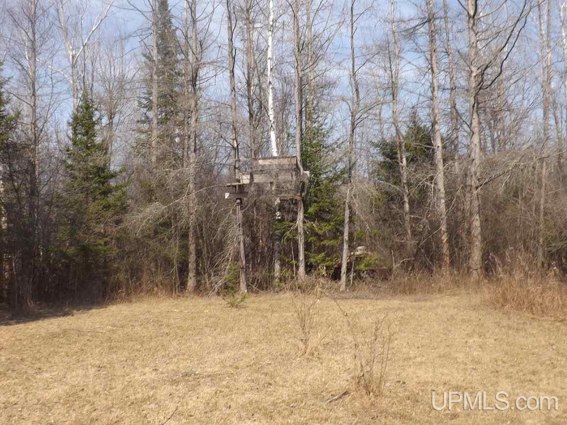 5511 G5 Road Escanaba, MI 49829 - Photo 27 of 30