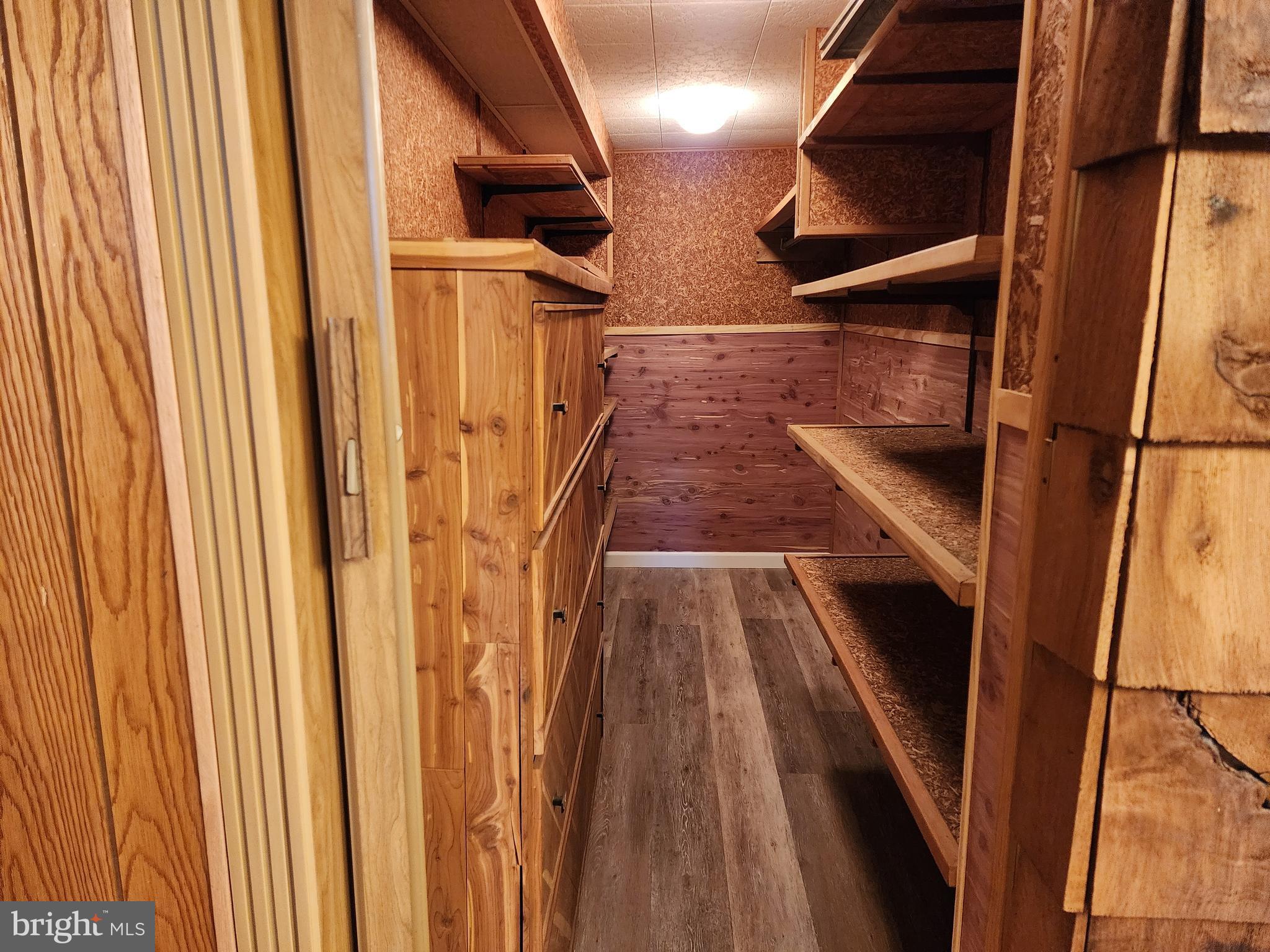 111 South Georgia Street Ridgeley, WV 26753 - Photo 49 of 79 Custom cedar closet