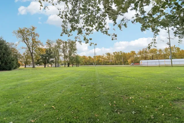 a view of field with tall trees