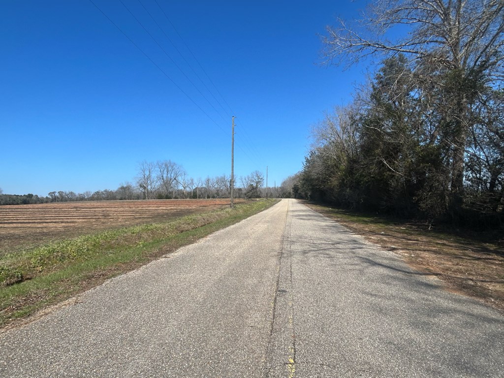 31.5-ac 31.5-ac Rammer Loop Road Dothan, AL 36301 - Photo 25 of 49