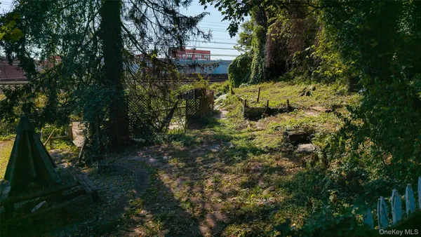 a view of a yard with plants and large trees