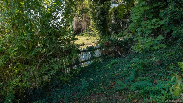 a view of a lush green forest