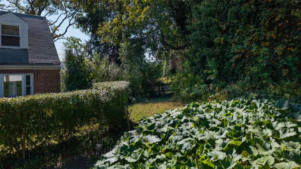 a view of a garden with plants