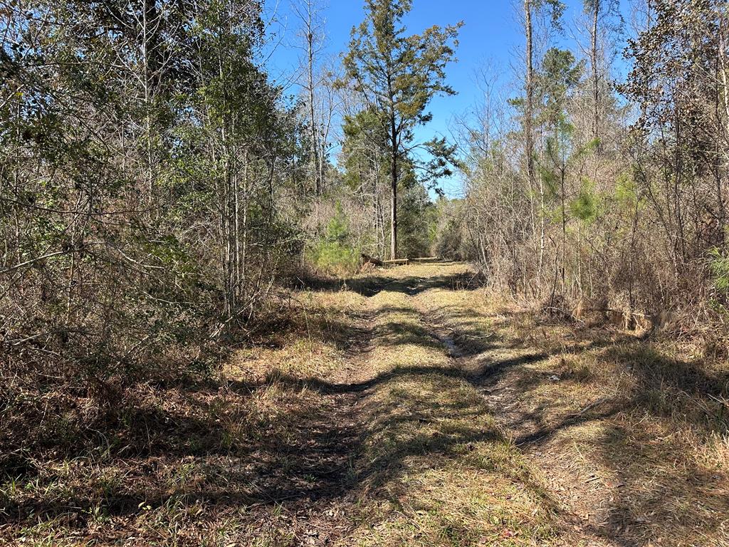 Undisclosed Address Ariton, AL 36311 - Photo 12 of 17